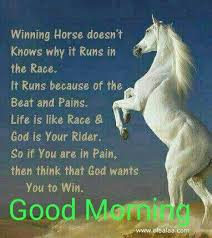 Pin By Bhavana Kaparthy On Wishes Good Morning Inspirational Quotes Good Morning Quotes Happy Morning Quotes