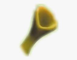 Download And Share Ear Transparent Shrek Shrek Ears Transparent Background Cartoon Seach More Similar Free Transpa Shrek Transparent Background Transparent