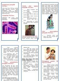 Cara pencegahan penyakit tuberkulosis ? Contoh Leaflet Tbc