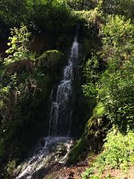 Waterfall Hestercombe House Garden In Cheddon Fitzpaine Taunton Photo By Me Lin 12 4 16 Waterfall English Garden Taunton
