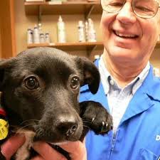 It is bittersweet to announce the retirement of Dr. Sandy Larson. After 20  years of serving you and your pets at McMonigle Veterinary Hospital, and 43  years overall serving the animal community