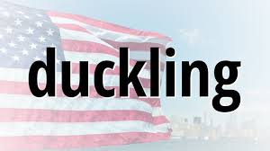 He saw a beautiful white bird in the. Correct Spelling For Duckling Youtube