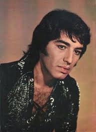 He was raised in the southern suburb of valentín alsina, and learned to play the guitar as a child, identifying his music as romani. 30 Sandro Ideas In 2020 Sandro Celebrities Robbie Robertson