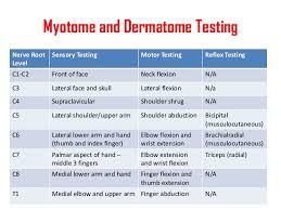 Myotome Testing Lamasa Jasonkellyphoto Co