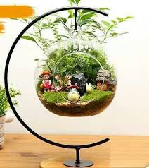 Find A Glob At Thrift Store Pflanzen Gartenterrarium Sukkulententerrarium