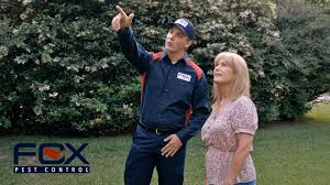 Fox pest control provides expert pest control service with same day free inspections and. Wasp Removal Connecticut Connecticut Wasp Control