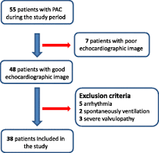 Transthoracic Echocardiography An Accurate And Precise