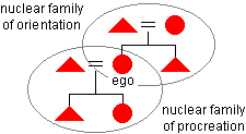 The Nature Of Kinship Descent Groups