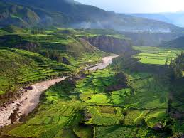 Check spelling or type a new query. The Deepest Underwater Canyon In The World The Largest Canyon In The World Is A Fantastic Spectacle Created By Nature Gorge Jumping Tigra