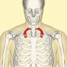 Restriction Of The 1st Rib Can Cause Thoracis Outlet Syndrome First Rib Massage Therapy Physical Therapy Assistant