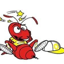The void knights are a military order who have helped serve guthix and his penchant for balance since the early fourth age. Pest Control Pro Kil Pest Control Mcalester Ok