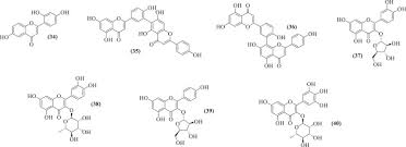 Image result for Ozoroa homblei