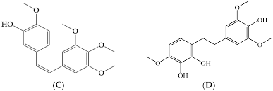 Image result for Combretum acutifolium