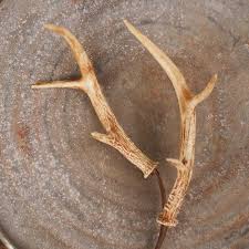 Experts weigh in on deer antler velvet, the substance at the center of a new sports controversy involving ravens linebacker ray lewis. 2 Pcs Floral Accessories Deer Antler Floral Pick Resin Deer Horns Woodland Decor 23 Inches Walmart Com Walmart Com