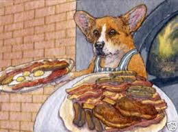 What Is The Best Diet For A Corgi Adult Corgi Guide
