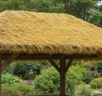 Thatch Roof Coverings - Durable, Eco-Friendly Solutions