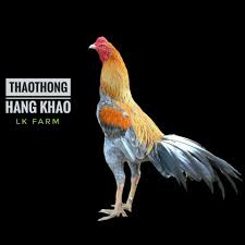 Ini lah port kami lepak dmasa lapang.dlm bangsal ni lah tempat cuci.traning.sparing dsb. Waktu Solat Malaysia Waktu Solat Dot Net