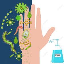 Tree of life png download 600 600 free transparent poster. Gambar Mencuci Tangan Dengan Kerap Melindungi Perlindungan Koronavirus Kuman Virus 2019 Ncov Bakteria Png Dan Vektor Untuk Muat Turun Percuma