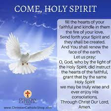 We have been focusing on holy spirit in 2020. Prayer To The Holy Spirit This Pentecost Sunday Come Holy Spirit Fill The Hearts Of Your Come Holy Spirit Prayer Holy Spirit Prayer Pentecost Sunday