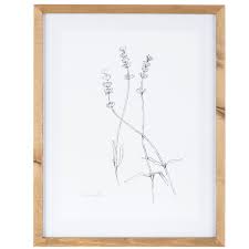 Pressed flowers framed in double glass | etsy. Sketched Lavender Framed Wall Decor Hobby Lobby 1652163