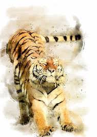 Watercolor Tiger Art By Axelpua Redbubble In 2020 Watercolor Tiger Tiger Art Art