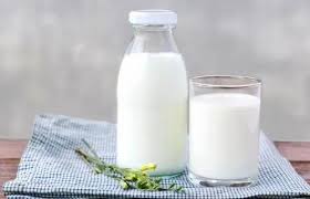 66th AGM of Dudhsagar Dairy