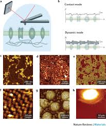 Atomic Force Microscopy Based Characterization And Design Of Biointerfaces Nature Reviews Materials For graduate student dates, visit the academic deadlines and events page in the graduate studies academic calendar. atomic force microscopy based