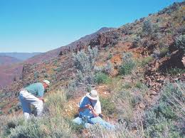 Washington Geology, October 2002