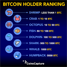 Bookmark the price page to get snapshots of the. Bitcoin Holder Ranking Bitcoin Crypto Currencies Bitcoin Cryptocurrency