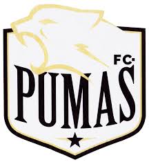 Cristian zavala convertía un golazo, pero el línea levantó la bandera. F C Pumas Melipilla Chile Fcpumas Chile L27203 Football Logo Pumas Company Logo