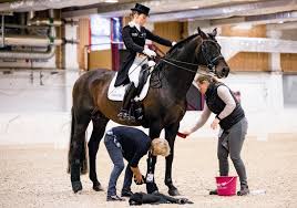 Wie sie ganz persönlich mit dem thema „reiten in und nach der schwangerschaft umgegangen ist, verrät sie im interview. Sportabschied In Der Wuste 10 Dinge Uber Helen Langehanenbergs Damsey