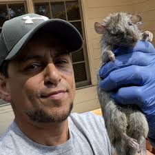 TOP 10 BEST Critter Removal in Las Vegas, NV