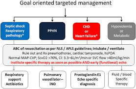 Frontiers Advances In Diagnosis And Management Of