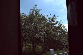 There are however only limited services from tampin, so you might want to consider taking a ktm komuter train from tampin to kl sentral, then an ets train from. Melaka Sentral Picture Of Melaka Sentral Tripadvisor