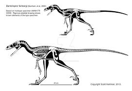 Bambiraptor (greek for bambi thief, after the disney cartoon character); Bambiraptor Facts And Pictures