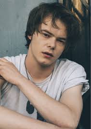 Charlie Heaton : Biography, Age, Movies, Family, Photos, Latest News