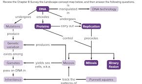 Why do you think scientists call the phosphate group and the. The Concept Map Shows That Proteins Carry Out Dna Chegg Com