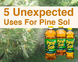 5 Unexpected Uses For Pine Sol