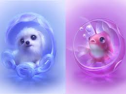 Follow the vibe and change your wallpaper every day! Really Cute Animal Wallpapers Top Free Really Cute Animal Backgrounds Wallpaperaccess