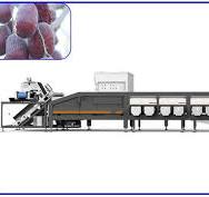 Artificial Intelligence Sorting Equipment 12 Lanes Dates ...