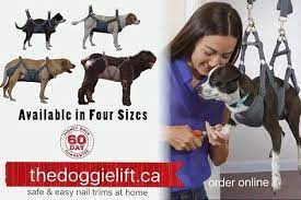 Doggie Lift Dog Sling At Home Dog Grooming Device To Keep A Dog Immobile Cooperative For Nail Trim Ear Cleaning Inject Dog Hammock Dog Sling Dog Grooming