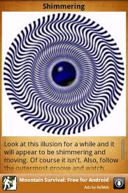 Image result for illusion pictures