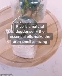 This task is very effective to check the students' ability to understand the proper lexical skills for learning english. Melbourne Mother Mama Mila Keeps Cupboards Fresh With Uncooked Rice And Essential Oil Daily Mail Online