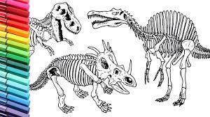 Make a coloring book with skeleton dinosaur bone for one click. Drawing And Coloring Dinosaurs Skeleton How To Draw And Color Dinosaurs From Jurassic Parck Youtube