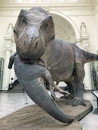 The New Model Of Sue The T Rex Made By Blue Rhino Studios It S One Of The Most Up To Date Representations Of T R In 2020 Dinosaur Images Field Museum