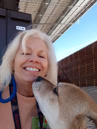 Lost Dog Rocky Found in Ashcroft