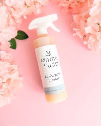 Branch Basics Review | PrettyOrganicGirl