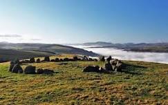 Taith Tywys Moel Ty Uchaf Guided Walk