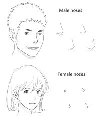 How to draw a female face step 1. How To Draw Anime Female Nose Novocom Top