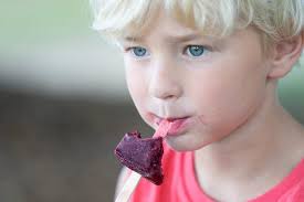 Hazen's Blueberry Farm in Howell brings all ages together